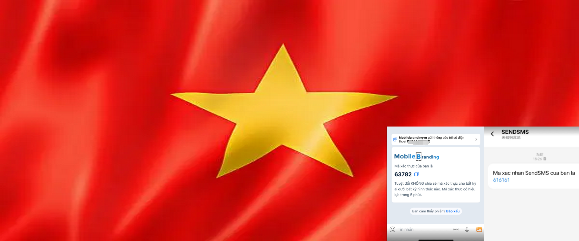 VIETNAM VERIFICATION CODE SMS，Mã xác minh Việt Nam SMS