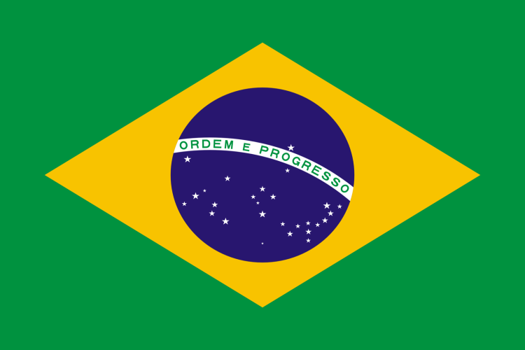 SMS MASIVO BRASIL